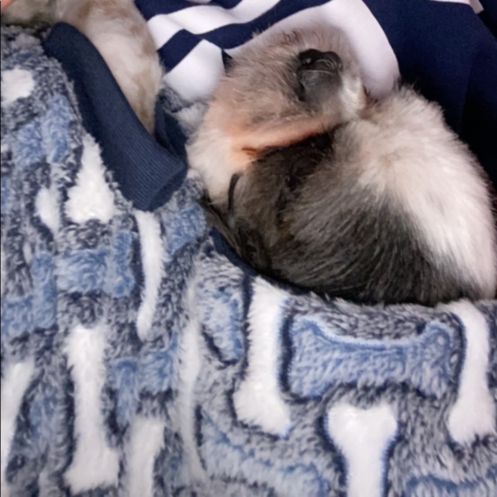 Meet your Posher, Ruby